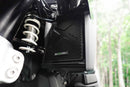 BMW R 1300 GS [2024-2026] - Kühlerschutz-Set