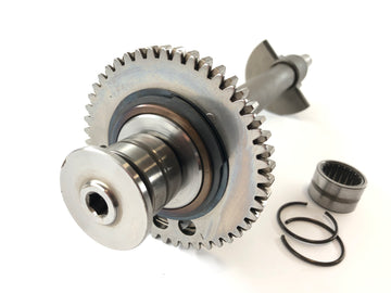Triumph Daytona 955i T595N [2001] - balance shaft - 0