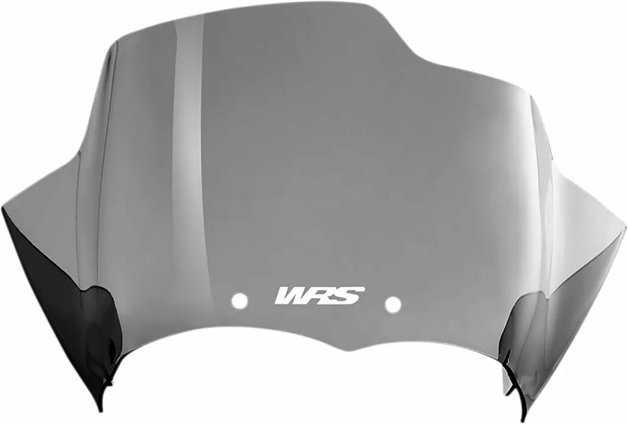 BMW R 1200 R [WRS] - windshield