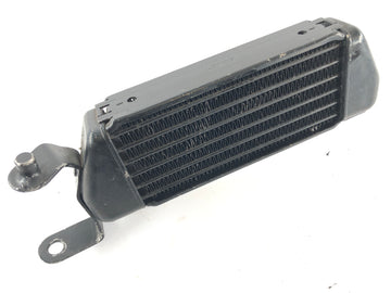 Triumph Speed ​​Triple T509 [1997] - Radiator Oil Cooler