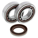 Ktm Exc 520 [ALL BALLS] - crankshaft bearing and oil seal set