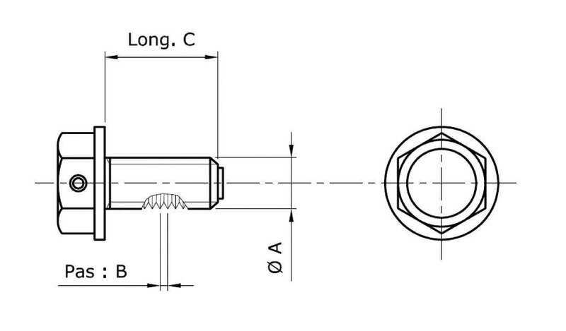 BMW R 1150 GS [Tecnium] - magnetic drain screw