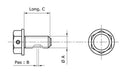 BMW R 1100 GS [Tecnium] - Drain screw-2