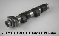 Polaris Sportsman 400 [2008-2013] - Nockenwelle - Stage 2 Polaris
