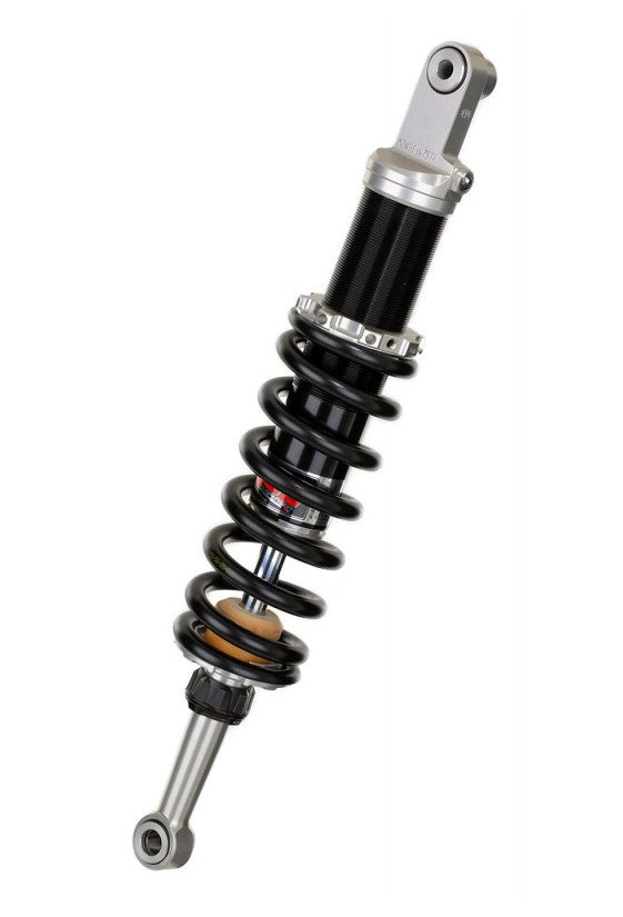 BMW R 100 R (0486) [1991-1995] - Hinterrad-Monofederbein Gas