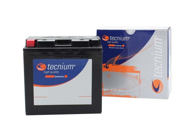 Yamaha Fjr 1300 [TECNIUM] - Maintenance Free Battery Factory Activated - BT14B-4