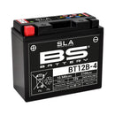Yamaha XVS 650 Drag Star [BS Battery] - motorcycle battery-1