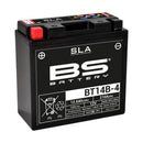 Yamaha Fzs 1000 Fazer [BS BATTERY] - SLA Maintenance Free Battery Factory Activated - BT14B-4