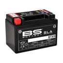 Yamaha Xtz 660 Tenere [BS Battery] - motorcycle battery-1