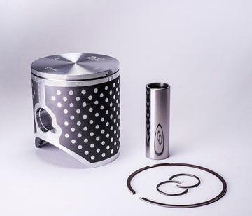 Mz 125 SX [2001-2008] - Race Evolution Gusskolben
