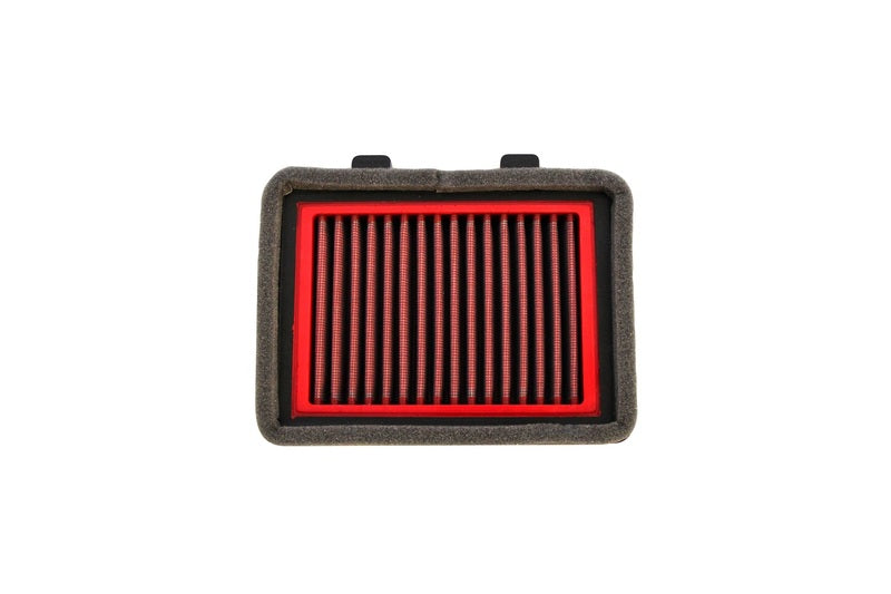 Suzuki V Strom [BMC] - Air filter - FM834/04