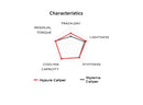 Ducati Panigale V4 [2025] - Hypure Bremssattel rechts