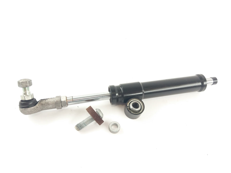 BMW S 1000 RR K10 [2010] - Steering damper