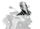 SUZUKI GSX-R 250 [2019] – Z-Racing screen – heavily tinted-2