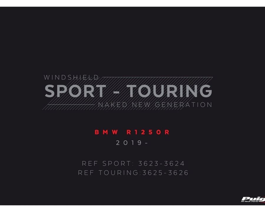 BMW R 1250 R [2025] – New Generation Sport – Tinted
