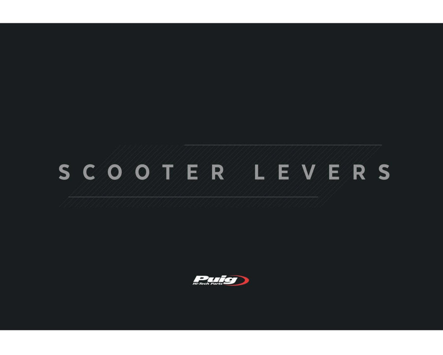 VESPA GTS 310 [2025] – moped lever – silver