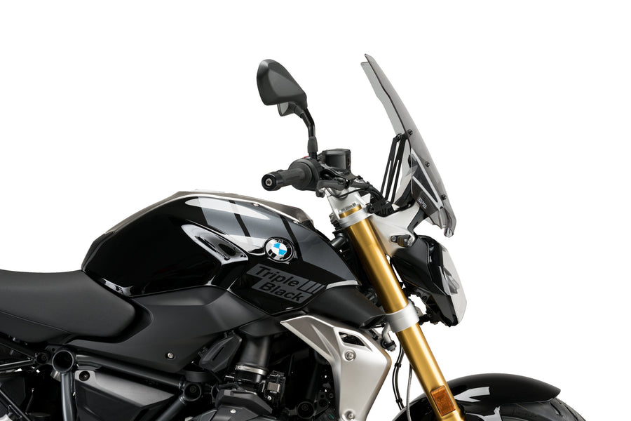 BMW R 1250 R [2025] – New Generation Touring – Stark getönt
