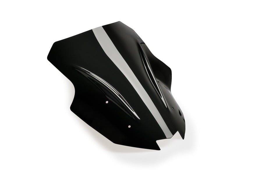 KAWASAKI NINJA 1100 SX SE [2025] – Racing Screen – Transparent