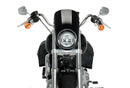 HARLEY DAVIDSON SOFTAIL LOW RIDER FXLR [2020] – Anarchy – Black-7