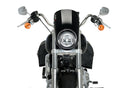 HARLEY DAVIDSON SOFTAIL LOW RIDER FXLR [2020] – Anarchy – Black-5
