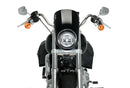 HARLEY DAVIDSON SOFTAIL LOW RIDER FXLR [2020] – Anarchy – Black-3