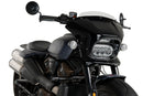 HARLEY DAVIDSON SPORTSTER S RH 1250 S [2024] – Fury – Heavily tinted-32
