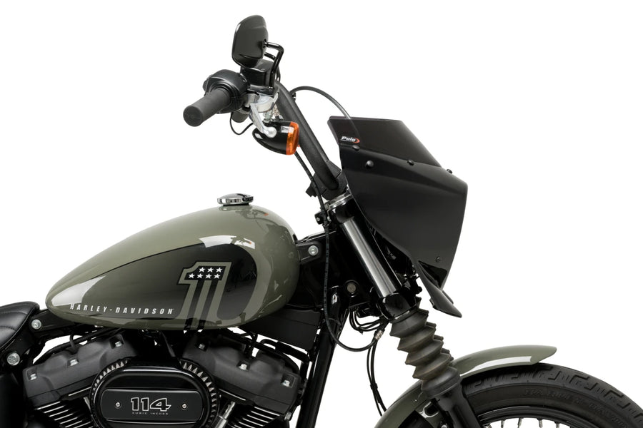 HARLEY DAVIDSON SOFTAIL STREET BOB FXBB [2019] – Mirage – Transparent