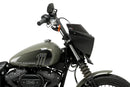 HARLEY DAVIDSON SOFTAIL STREET BOB FXBB [2019] – Mirage – Heavily tinted-3