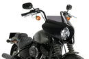 HARLEY DAVIDSON SOFTAIL STREET BOB FXBB [2019] – Mirage – Heavily tinted-1