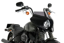 HARLEY DAVIDSON SOFTAIL STREET BOB FXBB [2019] – Mirage – Heavily tinted-9