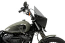 HARLEY DAVIDSON SOFTAIL STREET BOB FXBB [2019] – Mirage – Heavily tinted-40