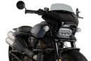 HARLEY DAVIDSON SPORTSTER S RH 1250 S [2024] – Fury – Heavily tinted-34