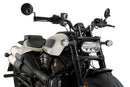 HARLEY DAVIDSON SPORTSTER S RH 1250 S [2024] – Fury – Tinted-26