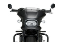 HARLEY DAVIDSON SPORTSTER S RH 1250 S [2024] – Fury – Heavily tinted-9