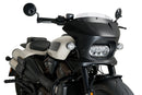 HARLEY DAVIDSON SPORTSTER S RH 1250 S [2024] – Fury – Tinted-42