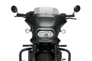 HARLEY DAVIDSON SPORTSTER S RH 1250 S [2024] – Fury – Heavily tinted-14