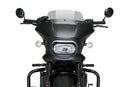 HARLEY DAVIDSON SPORTSTER S RH 1250 S [2024] – Fury – Heavily tinted-45