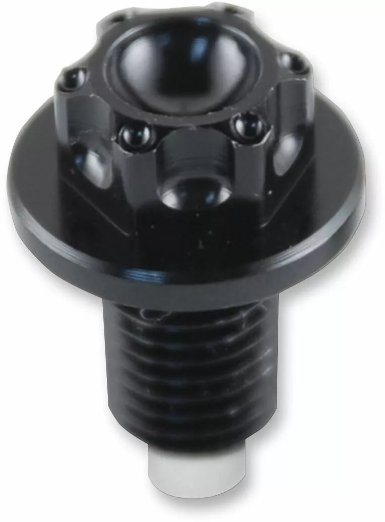 Yamaha YZF 750 R [PSR] - magnetic oil drain screw