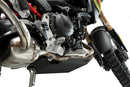BMW F 900 GS [2025] – Engine Guard – Silver-31