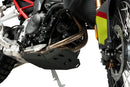 BMW F 900 GS [2025] – Engine Guard – Silver-3