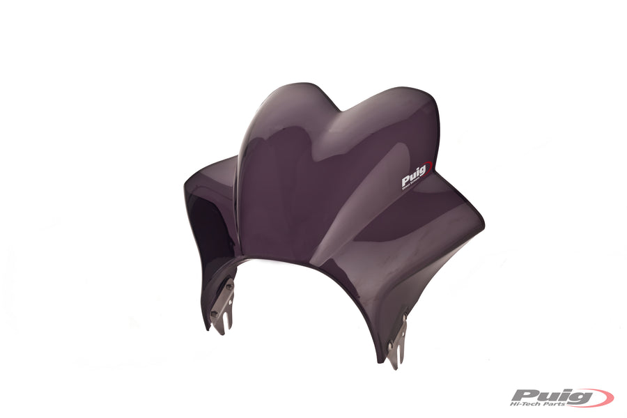 KAWASAKI W 230 [2025] – Wave – Strongly tinted