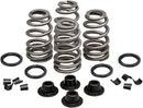 Daytona 660 [KIBBLEWHITE] – Beehive Valve™ Ventilfeder-Kit