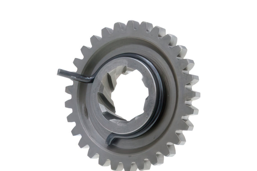 Aprilia RX 50 2T D50B1 [2006–] - Kickstarterritzel Z=29