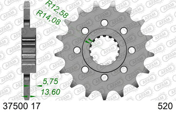 Aprilia TUONO 660 FACTORY [2022-2026] - Kettenkit 520XSR 16/43-110 - Standard Kettenrad