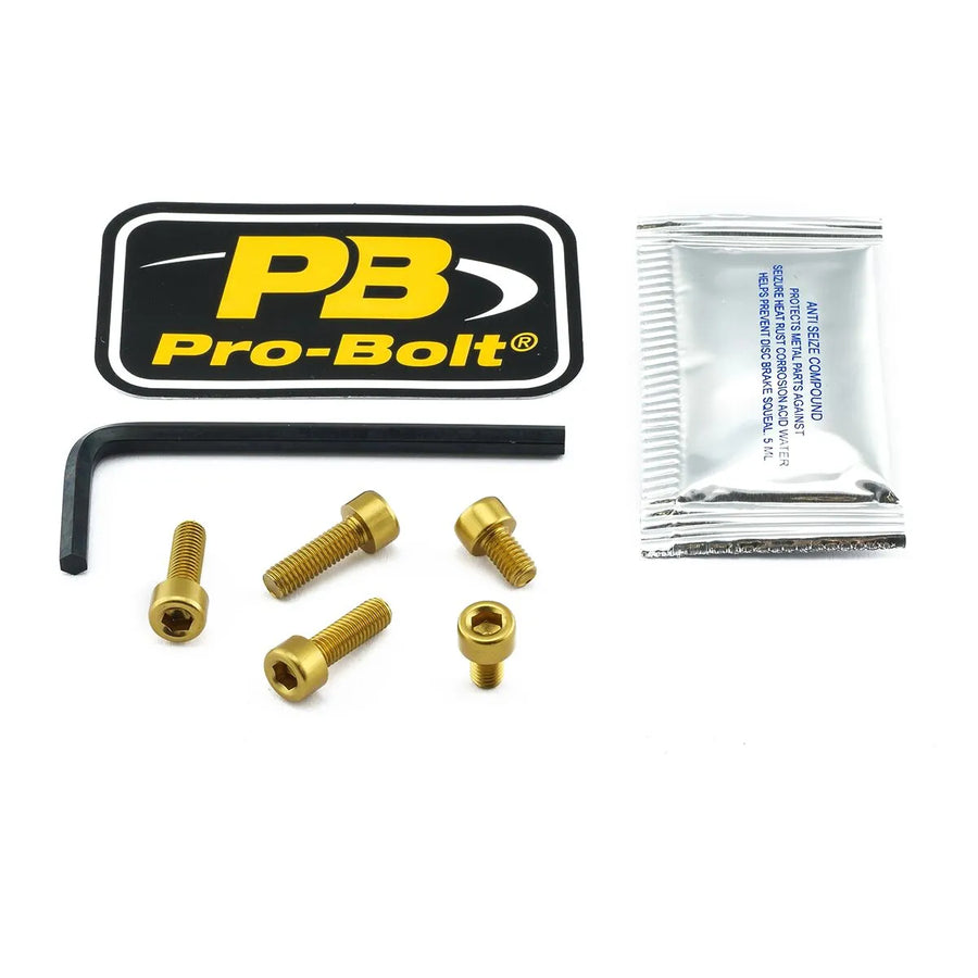 Kawasaki Versys 1000 [Pro Bolt]-Aluminum fuel cap kit
