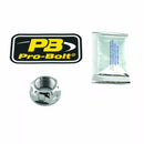 Triumph Bonneville 800 T100 [Pro Bolt] - axis nut for swinge, titanium-1