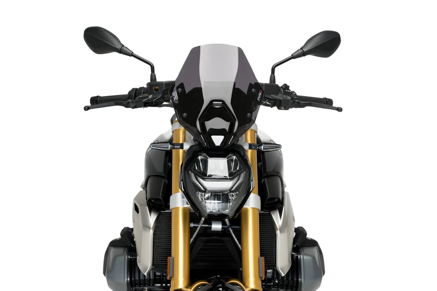 BMW R 1250 R [2025] – New Generation Sport – Tinted