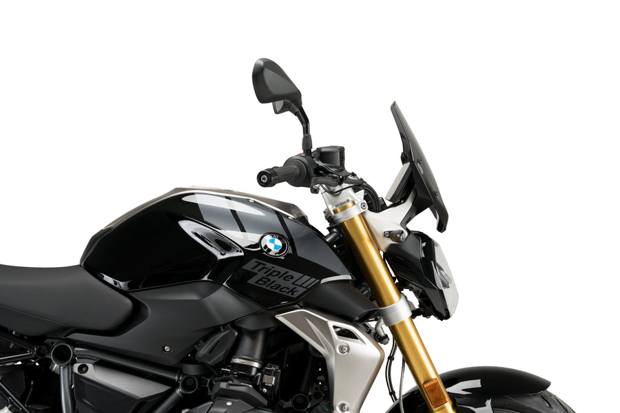 BMW R 1250 R [2025] – New Generation Sport – Tinted
