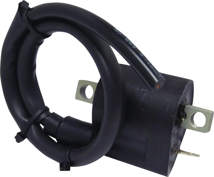 Kawasaki Ninja 650 [Parts Europe] - ignition coil