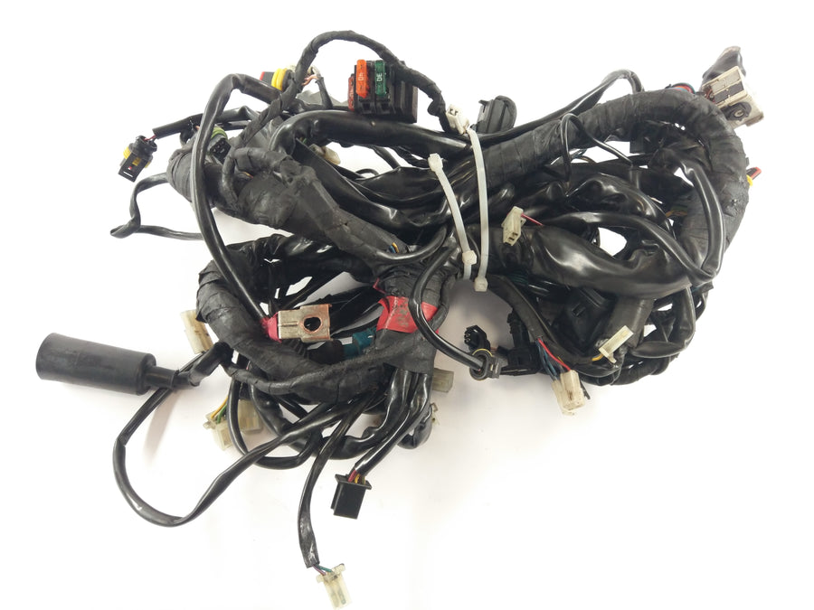 Moto Guzzi Stelvio 1200 4V [2008] - Wiring harness